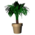 :iconmahmanjoe: