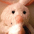 :iconmahsunny: