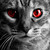 :iconmaicee24: