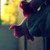 :iconmaideneyes: