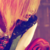 :iconmaidentsukimaru: