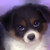 :iconmaidmaster99: