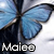 :iconmaiee: