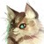 :iconmaikii92: