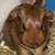 :iconmailene14256: