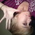 :iconmailove-92: