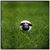 :iconmaion10: