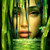 :iconmaisa5: