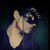 :iconmaisondefous: