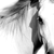 :iconmaitha-bint-khalid:
