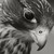 :iconmaitha-bint-khalid: