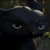 :iconmaitopurkki: