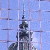 :iconmaiu7: