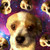 :iconmaival90: