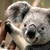 :iconmaiwandkn91: