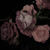 :iconmaj-majakov: