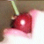:iconmajestaleonora: