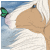 :iconmajestic-arabian: