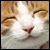 :iconmajestic53:
