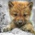 majic-namie :iconmajic-namie: