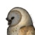 :iconmajide: