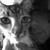 :iconmajin-zeroth: