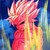 :iconmajinperu: