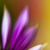 :iconmajkl776: