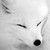:iconmajor-m: