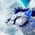:iconmajor2309: