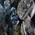 :iconmajs123: