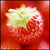 :iconmajuula: