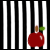 :iconmakabera: