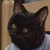 MAKC-HUNTER :iconmakc-hunter: