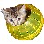 :iconmake-a-snappy: