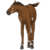 :iconmake-x-believe:
