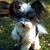 :iconmakidoll-21: