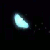 :iconmakisora: