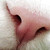 :iconmakrophage: