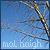 :iconmal-haigh: