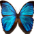 :iconmalacjah: