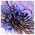 :iconmalagant-nox: