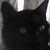 :iconmalakaibishop12345: