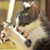 :iconmalakat: