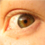 :iconmalakhai777: