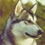 :iconmalamute119:
