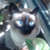 :iconmaldyta: