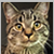 :iconmaleficentmetals: