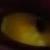 :iconmalefor-fan-club: