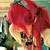 :iconmaliciousdrawner: